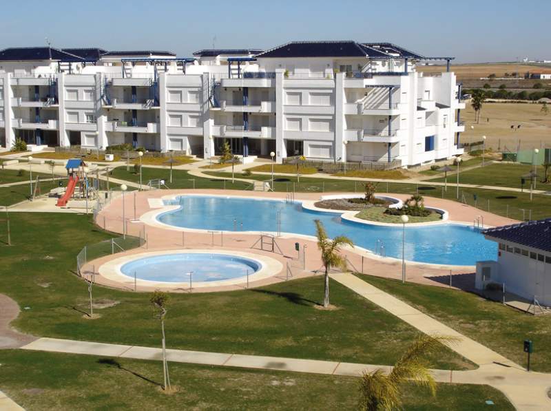 alegria costa ballena