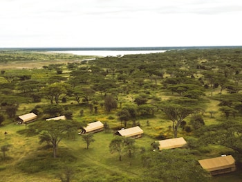 africa safari south serengeti