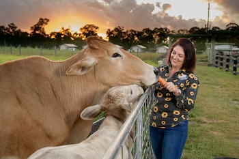 Splitters Farm,Fraser Island>>Bundaberg,3.5 star