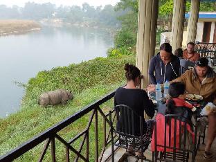 jungle wildlife camp