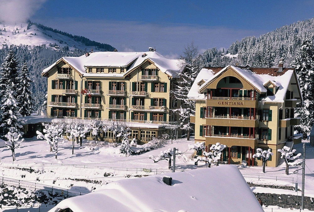 Hotel Falken,Gsteigwiler>>Bern,3 star