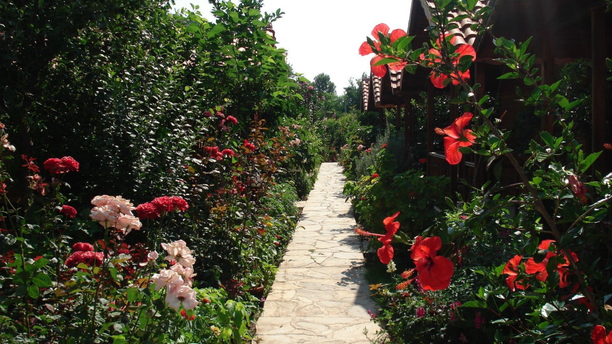 portakal bahcesi