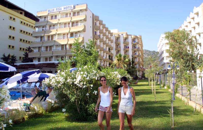 blue fish hotel