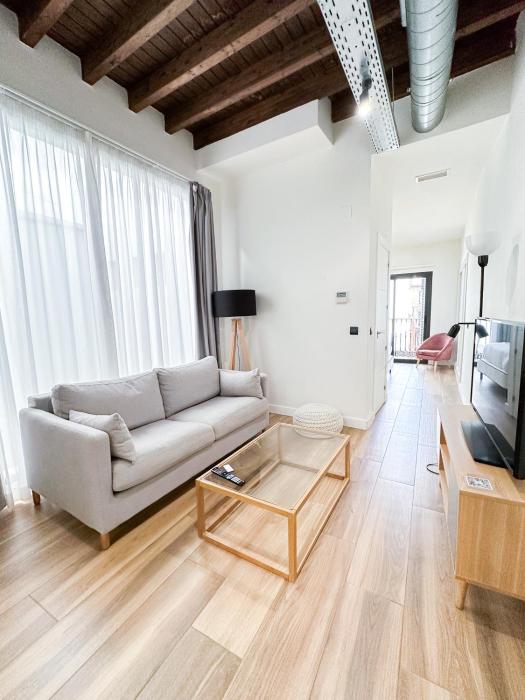 aqua apartments malaga