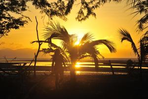 Hotel Hibiscusgarden,,2 star