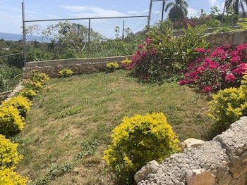 Poinciana House,Saint James>>Montego Bay,2 star
