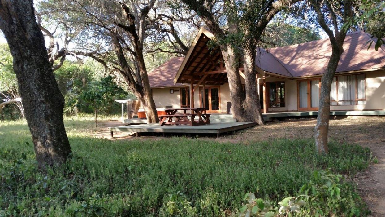 bushwillow collection