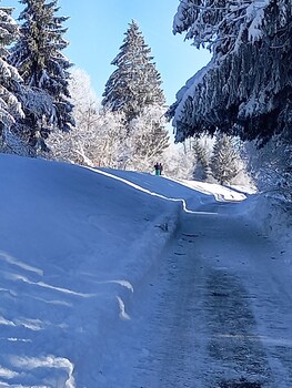 Aliegusta,Hermagor>>Gitschtal,3 star