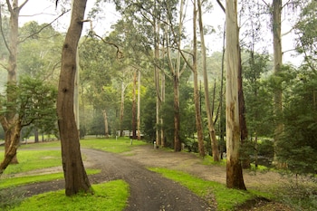 Tarra Valley Retreat,Yarram>>Tarra Valley,2.5 star
