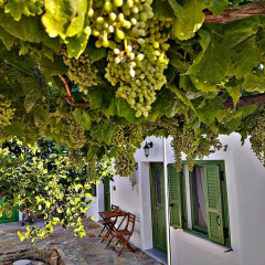 Laurel Lk Houses In Kritinia Rhodes,Kritinia>>Halki,2 star
