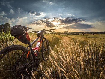 Urban Oasis Near Breweries & Old Town - Free Bikes,United States Of America>>Fort Collins,0 star