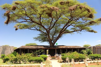 Tulia Amboseli Safari Camp,Amboseli National Park>>Amboseli,2.5 star