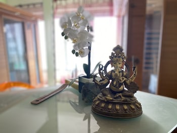 La Maison D'angélique,France>>Niort,0 star