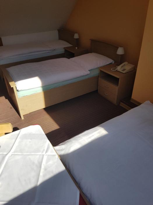 Zum Grunen Baum Hotel Frankfurt Airport,Frankfurt Airport>>Frankfurt,2 star