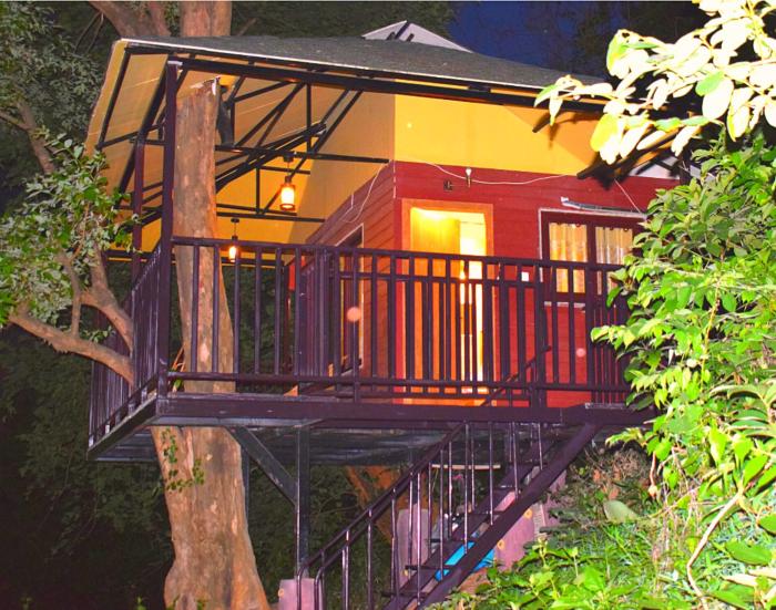 Brahmaputra Jungle Resort