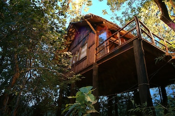 Pugdundee Safaris- Tree House Hideaway,Umaria-Badhavgarh Rd, Vijarhia, Rakhi Amodar, Madhya Pradesh 484661,4 star