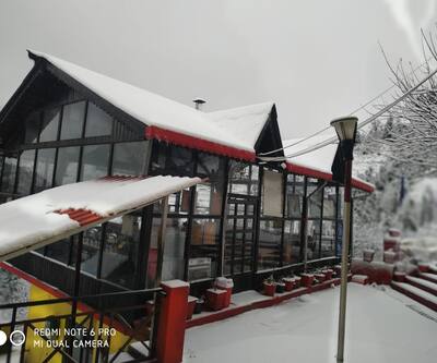 apple orchard resort