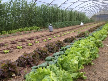 Agroturismo Urresti,Ereño>>Bermeo,2.5 star