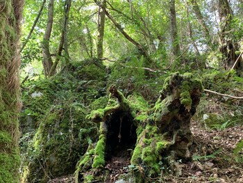 Agroturismo Urresti,Ereño>>Bermeo,2.5 star