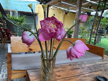 Nha Cua Nep,Vietnam>>Pleiku,2.5 star