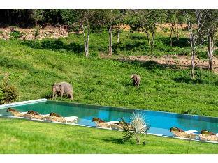 wild cottages elephant sanctuary resort