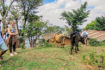 Frama Nature Adventure,Rugarama>>Musanze,3 star