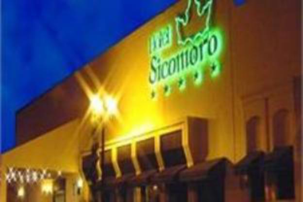 hotel sicomoro