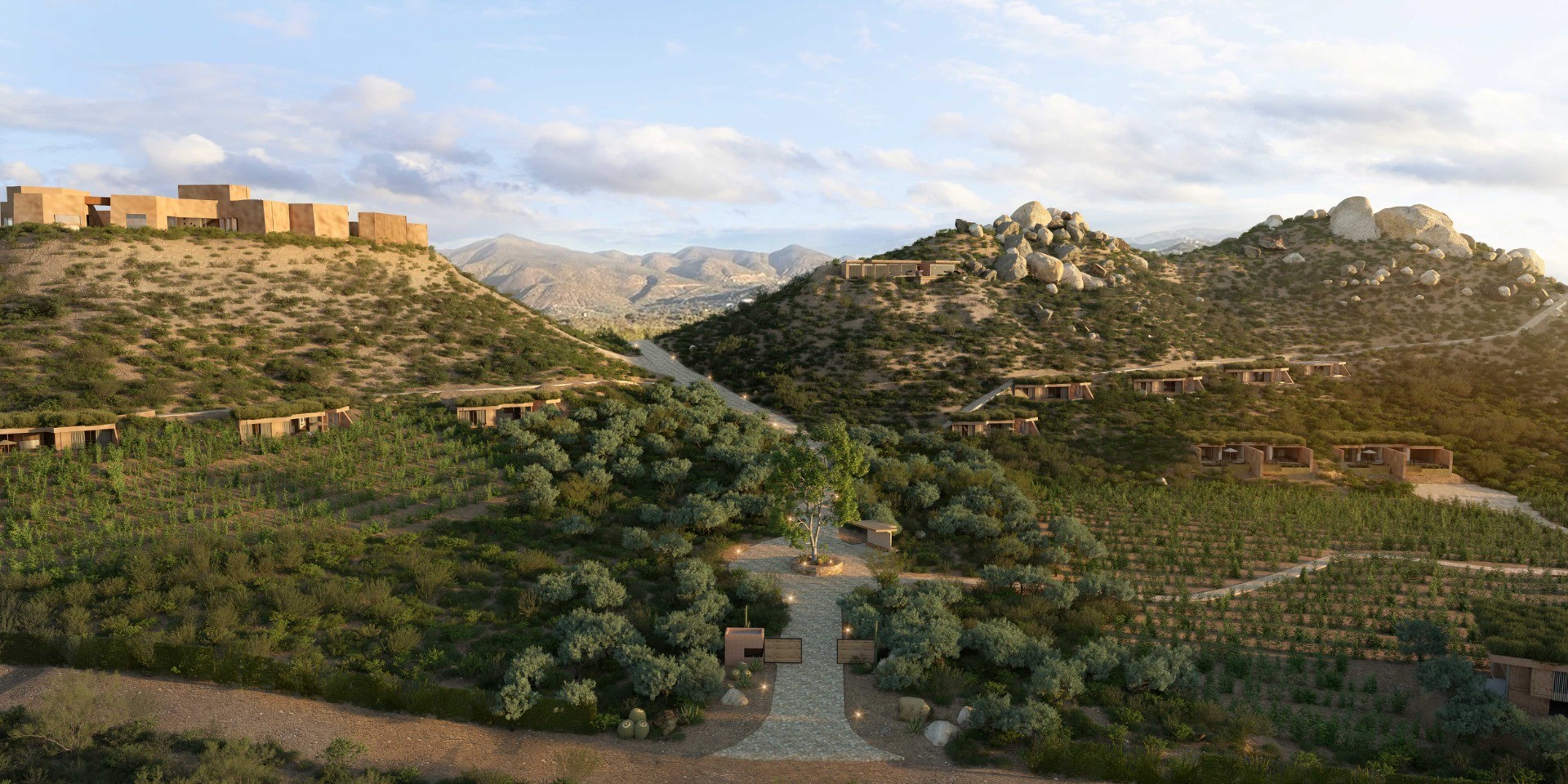banyan tree veya valle de guadalupe