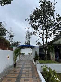 Buddha Tree Home Stay