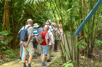 Veragua Rainforest Lodge,Costa Rica>>Limon,3 star