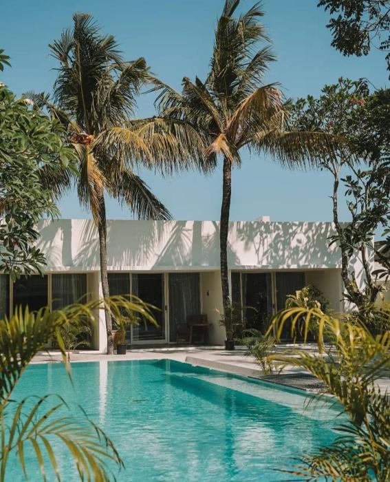 ayom suite