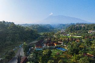jsi resort