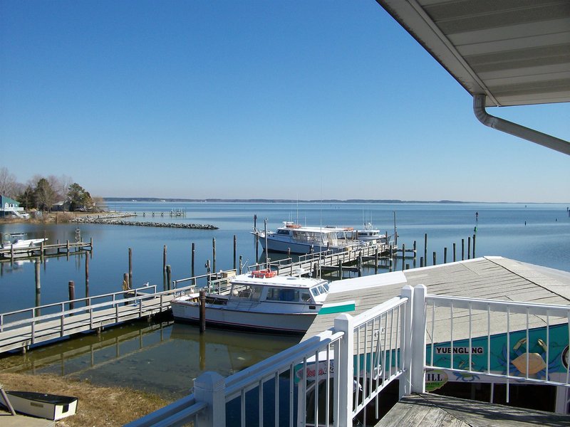Wylder Tilghman Island,Easton>>Bozman,2 star