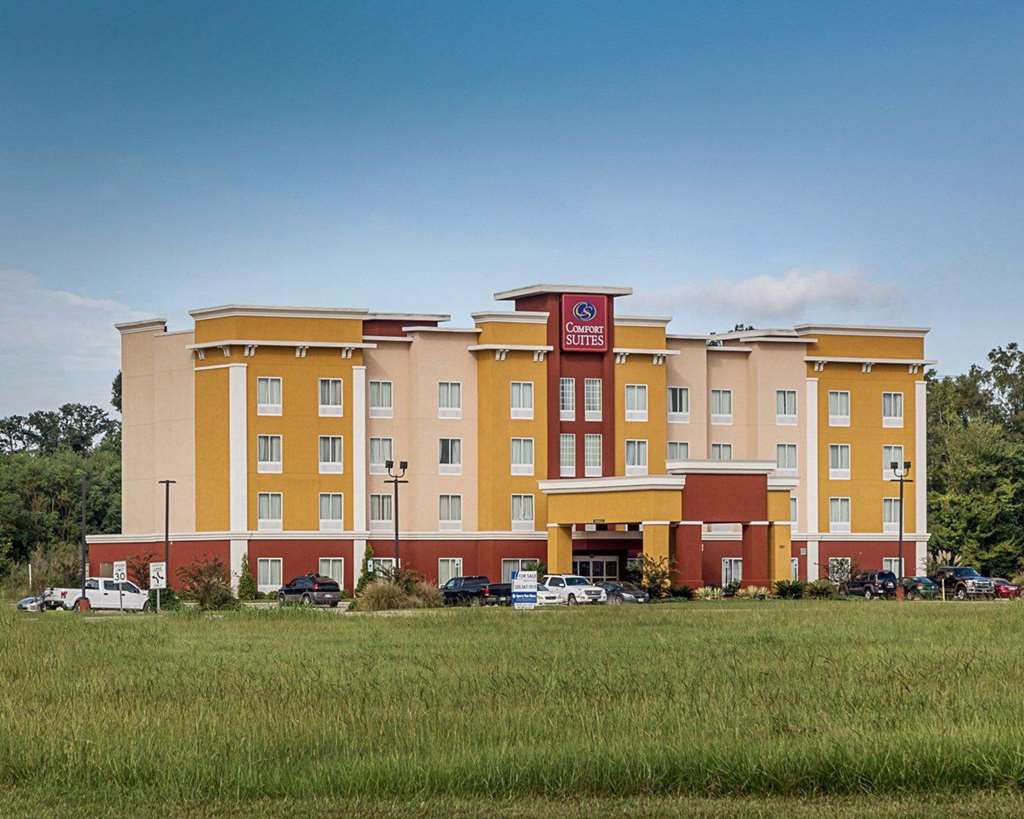 Comfort Suites Near Tanger Outlet Mall,Donaldsonville>>Baton Rouge,2.5 star