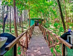 Devbagh Beach Resort - Junglelodges