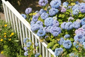 An English Garden Bed & Breakfast,Dennis Port>>Dennis,3 star