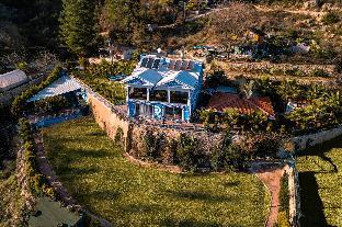 Dolphin Boutique Hotel,Turkey>>Bucak,5 star