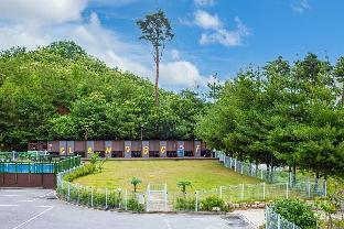 yangyang graemdog aegyeon pension