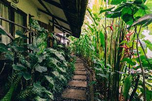 Himaya Siargao,Siargao Island>>Del Carmen,3 star