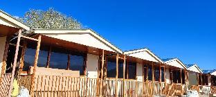 pangong ecstasy huts