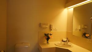 Country Motor Inn Singleton,New South Wales>>Hunter Valley,3 star