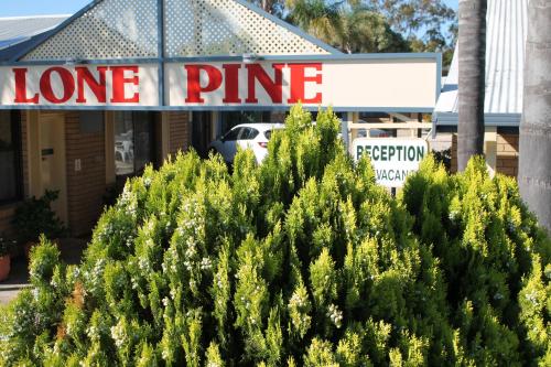 Lone Pine Motel - Corowa,Corowa>>Albury,3 star
