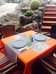 Hotel Andrea's,Los Cristianos>>Arona,2 star