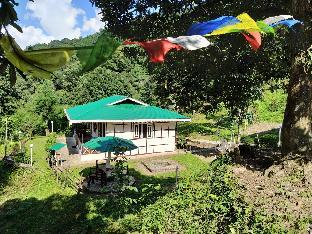 The Nettle And Fern Farmstay