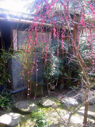 Ishiya Ryokan,Sakaide>>Kagawa,2 star