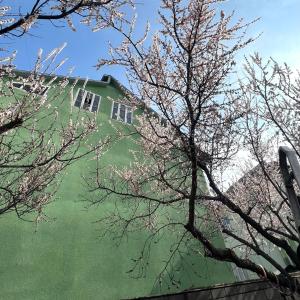Abs Hostel,Kyrgyzstan>>Osh,1 star