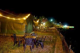 rosetree wild wishes camp mukteshwar