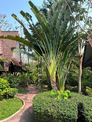 Soft Kad Farang Hangdong ??? ????????,Thailand>>Chiang Mai,3 star