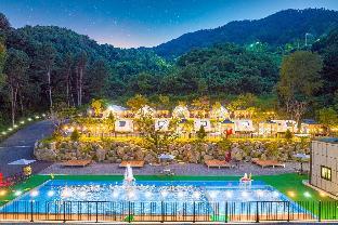 pocheon story forest caravan glamping