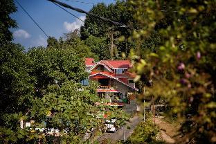 hill 66 kurseong